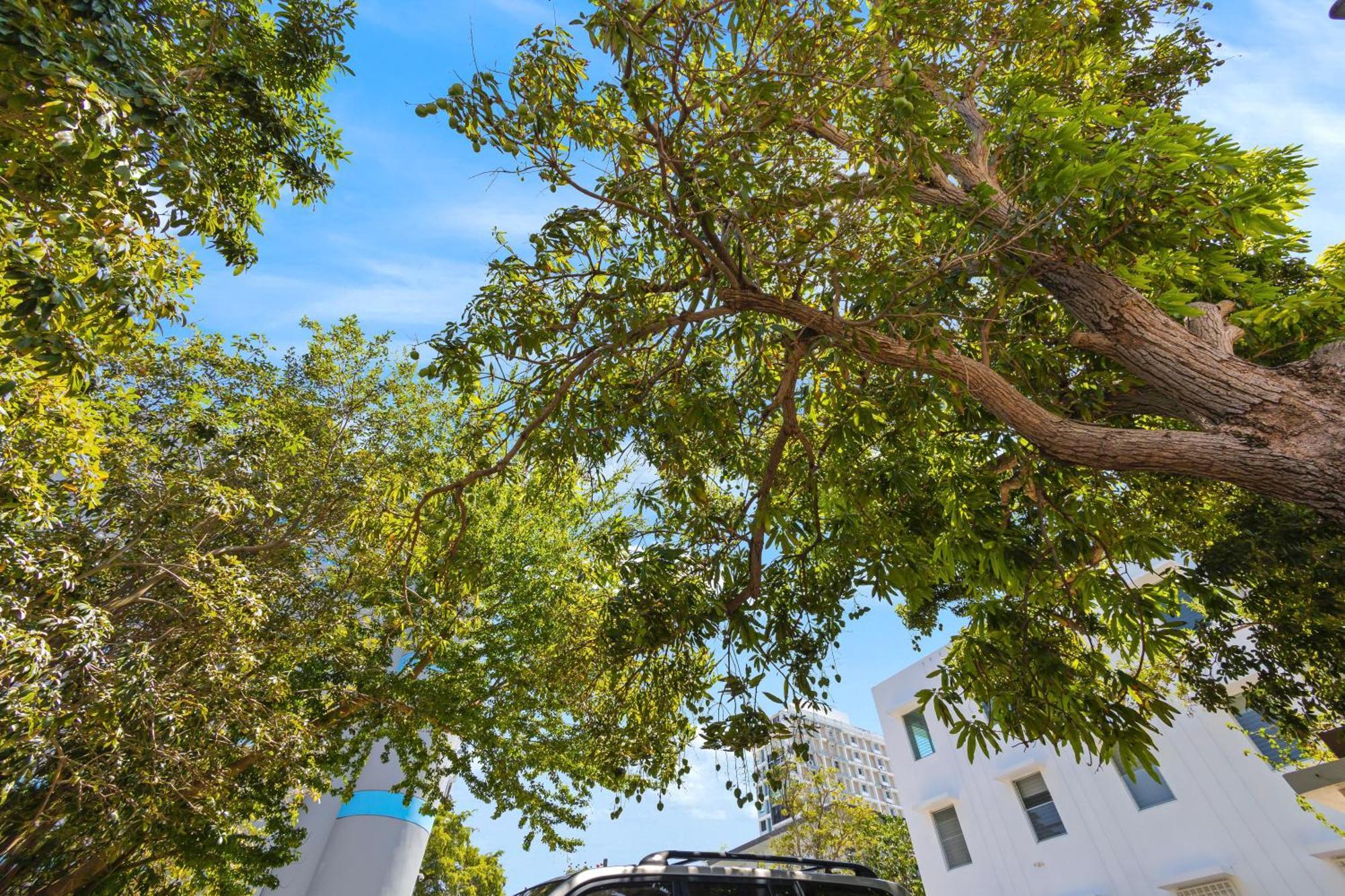 Appartamento Hidden Gem In Miramar- Power Generator- Parking San Juan Esterno foto