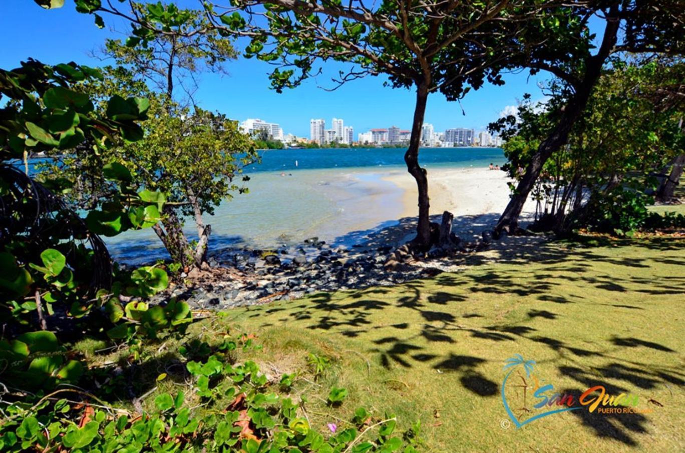 Appartamento Hidden Gem In Miramar- Power Generator- Parking San Juan Esterno foto